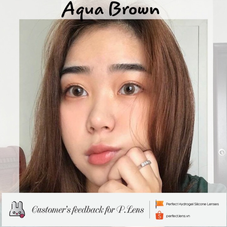 Aqua Brown Lens (Giá 1 Chiếc)
