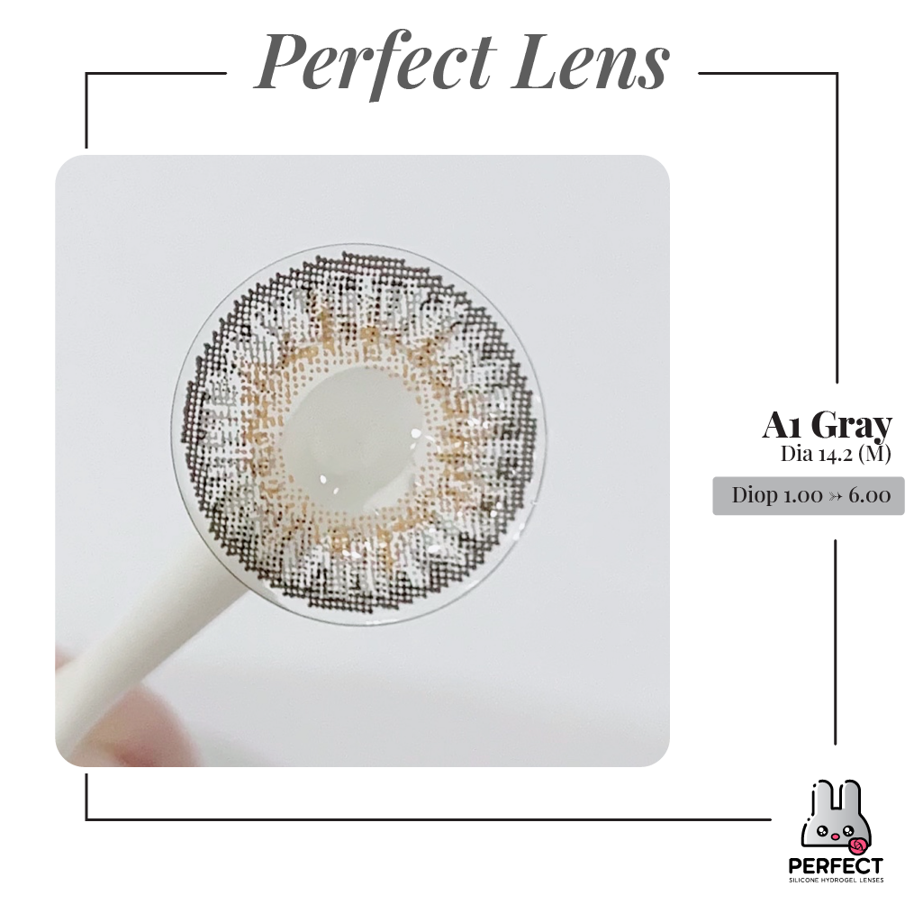 A1 Gray Lens (Giá 1 Chiếc)