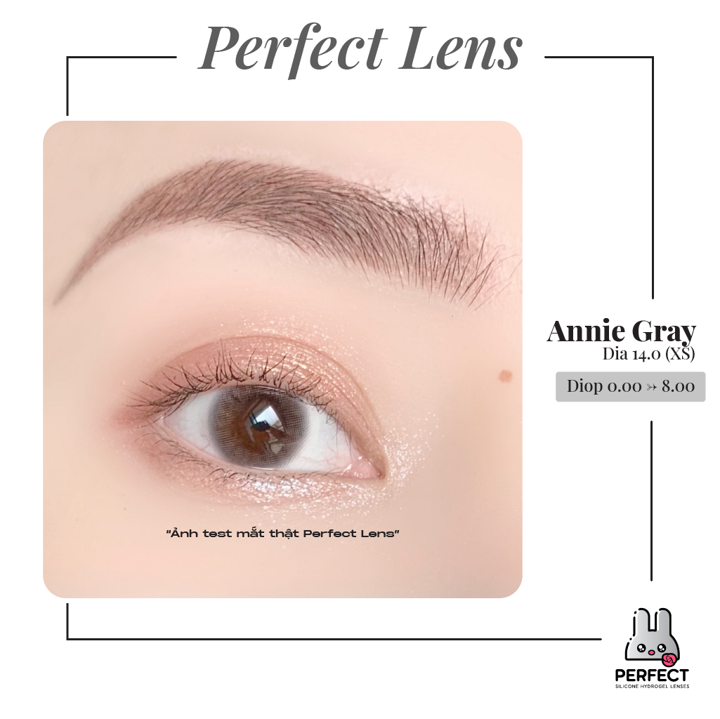 Annie Gray Lens ( Giá 1 Chiếc)