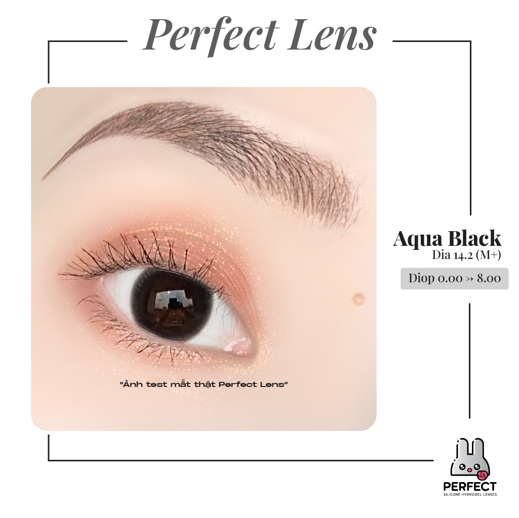 Aqua Black Lens (Giá 1 Chiếc)