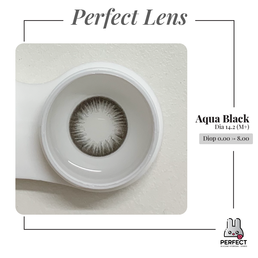 Aqua Black Lens (Giá 1 Chiếc)