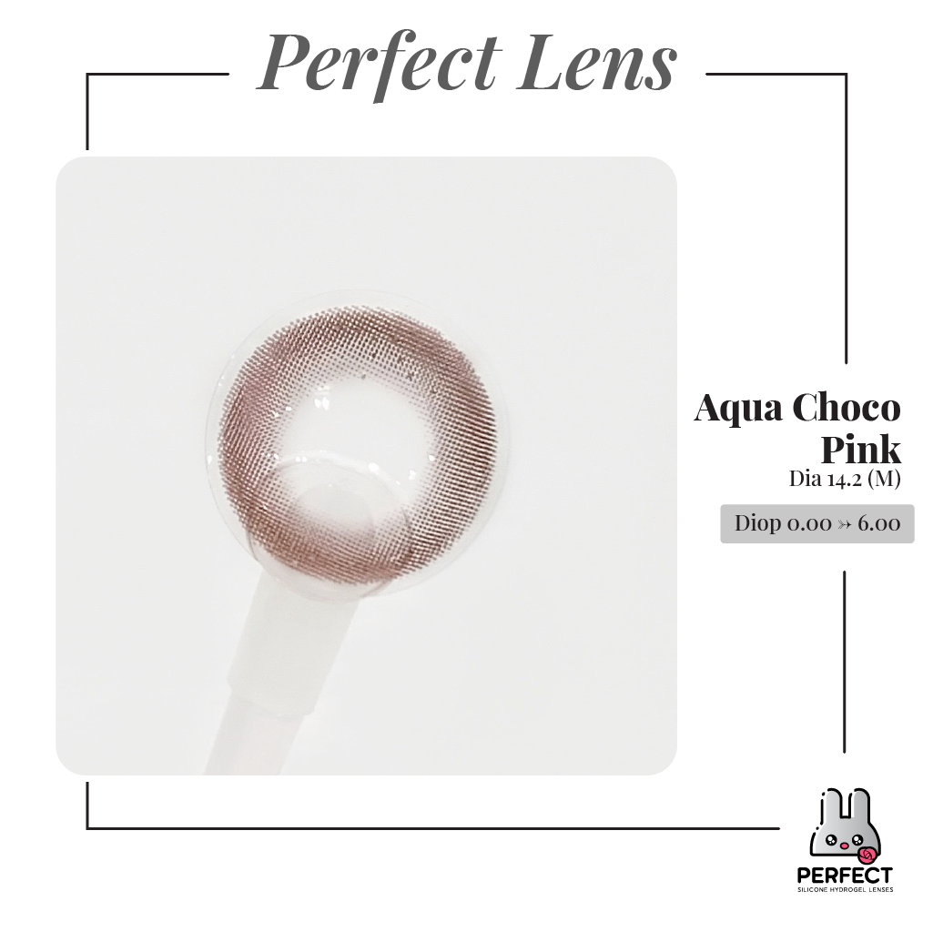 Aqua Choco Pink Lens (Giá 1 Chiếc)