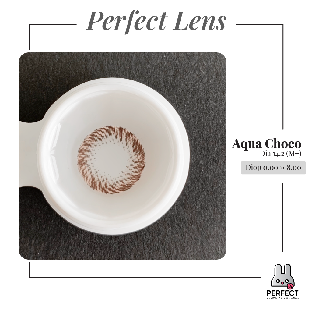 Aqua Choco Lens (Giá 1 Chiếc)