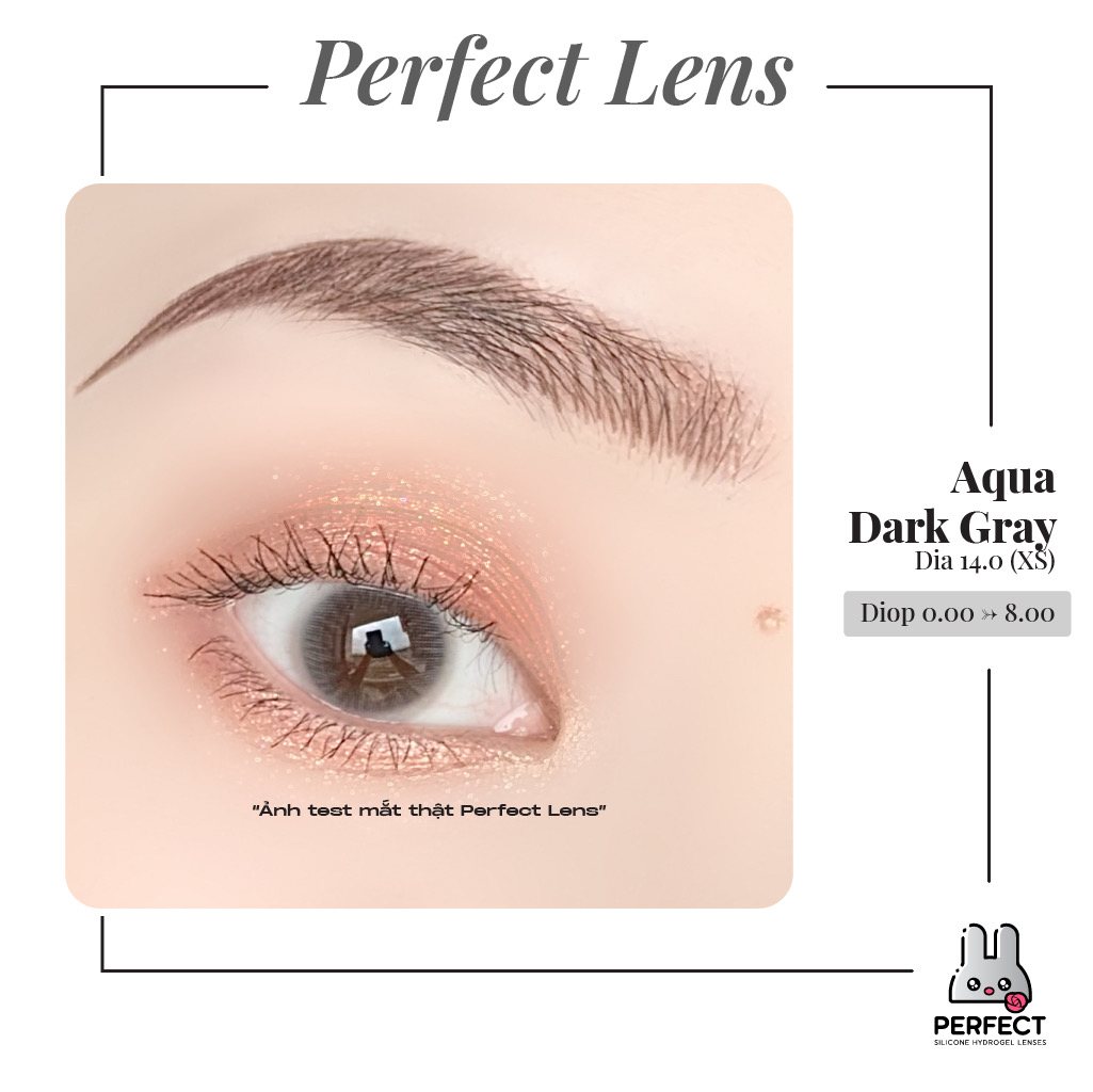 Aqua Dark Gray Lens (Giá 1 Chiếc)