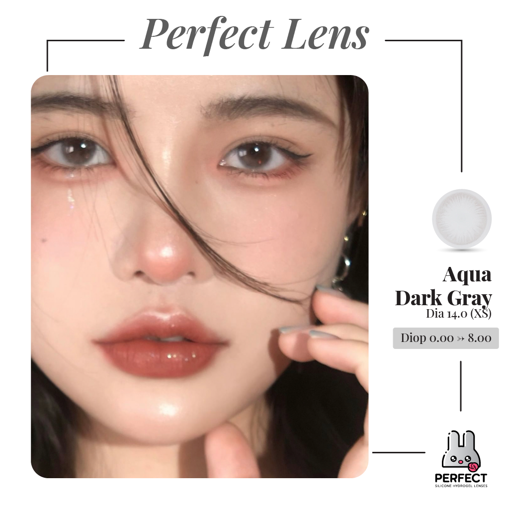 Aqua Dark Gray Lens (Giá 1 Chiếc)