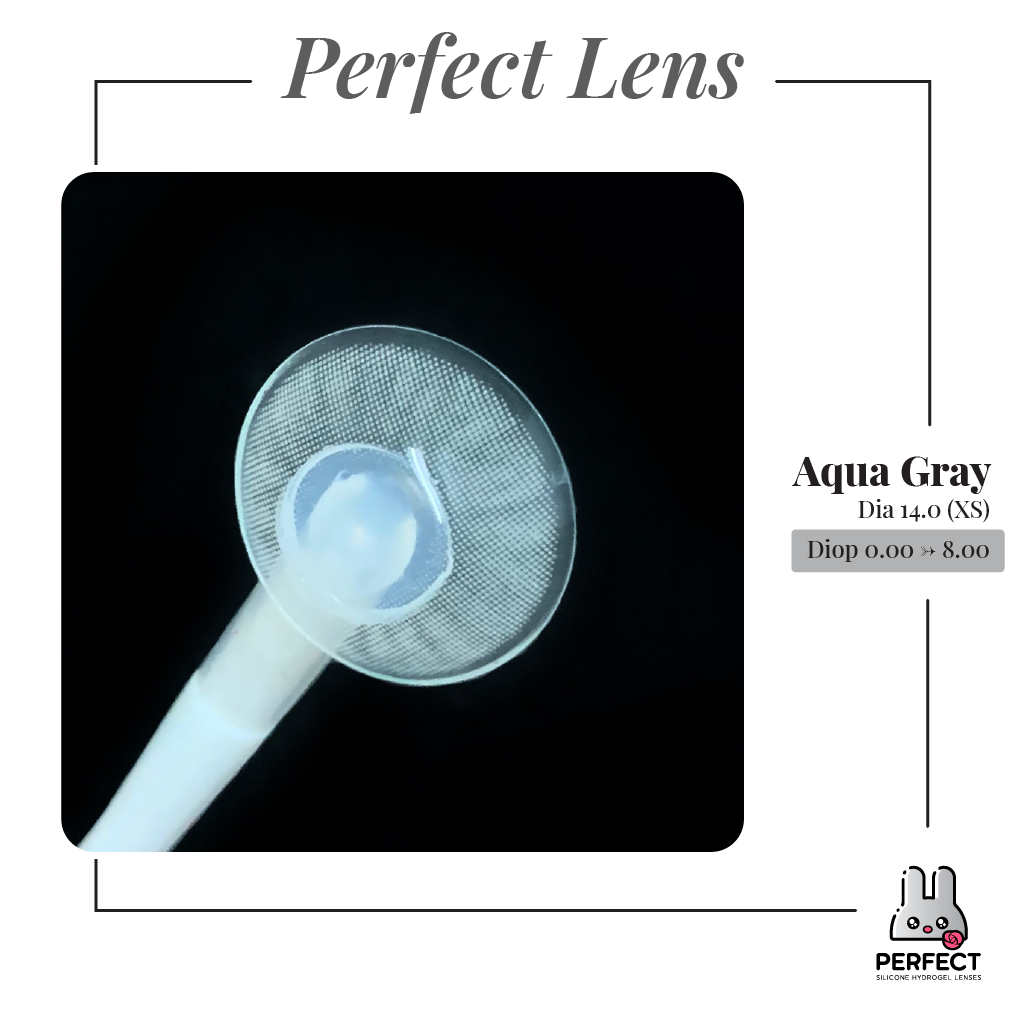 Aqua Gray Lens (Giá 1 Chiếc)