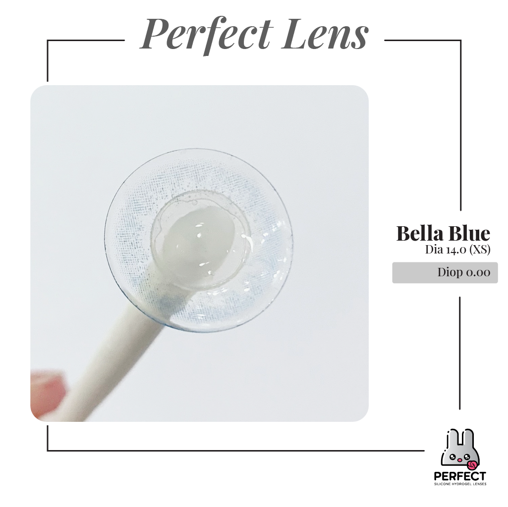 Bella Blue Lens (Giá 1 Chiếc)