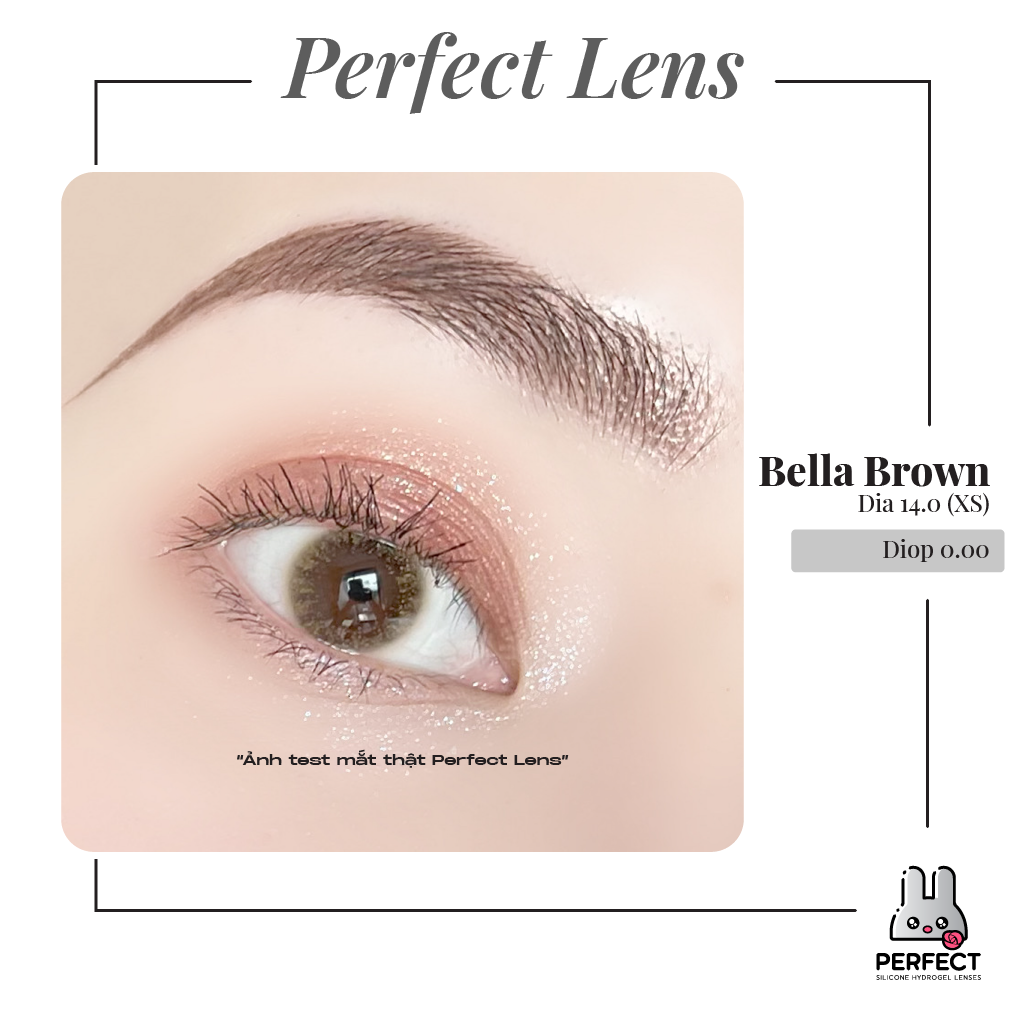 Bella Brown Lens ( Giá 1 Chiếc)