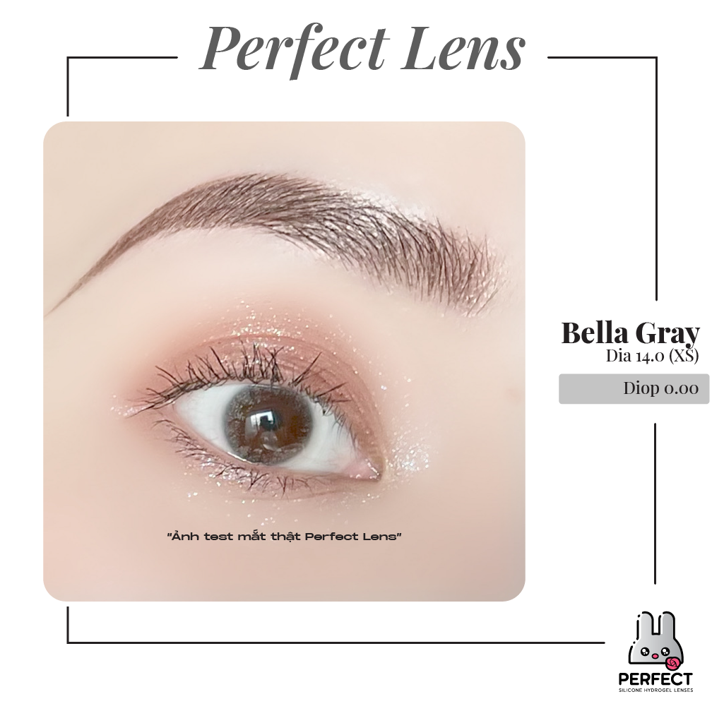 Bella Gray Lens (Giá 1 Chiếc)