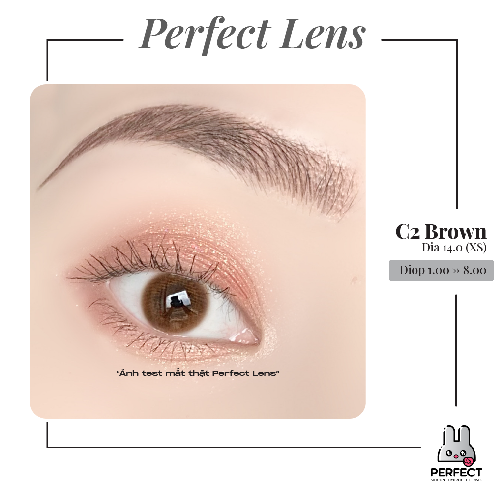 C2 Brown Lens (Giá 1 Chiếc)