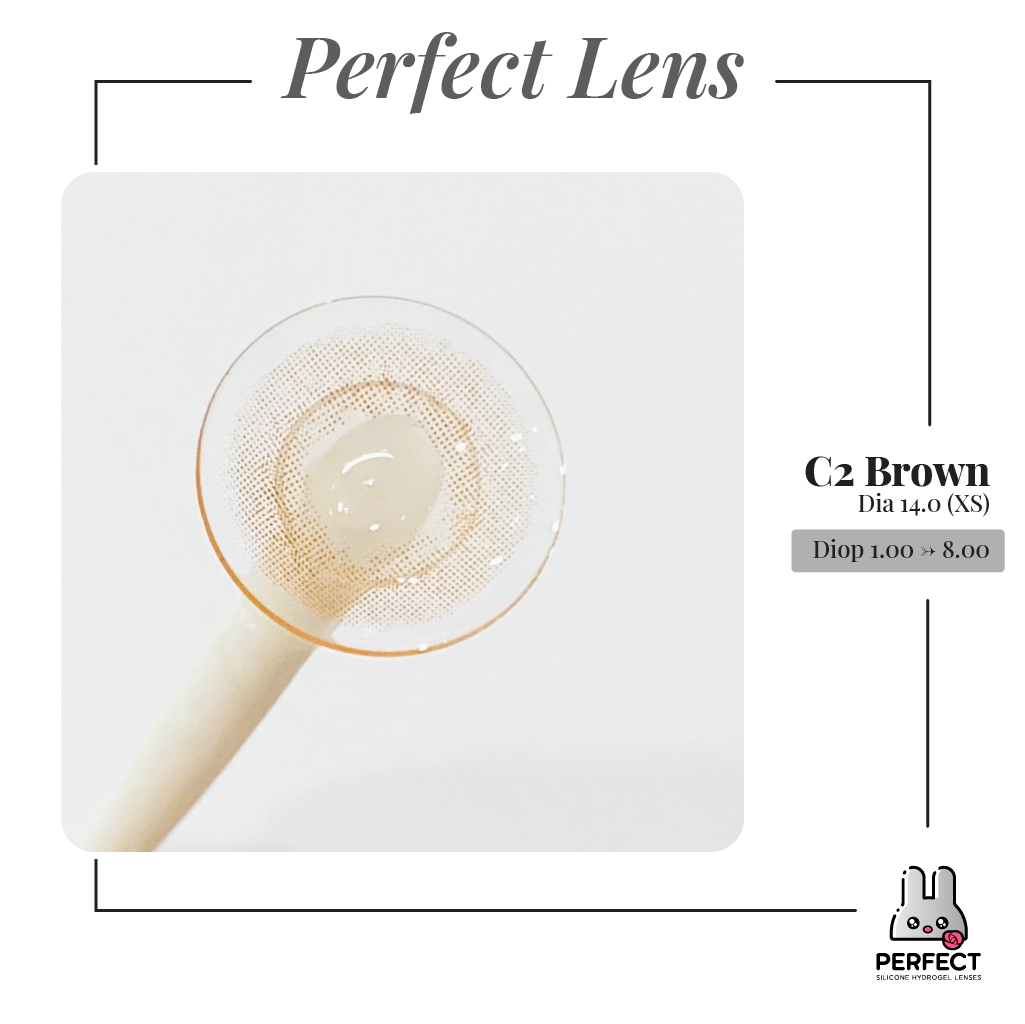 C2 Brown Lens (Giá 1 Chiếc)