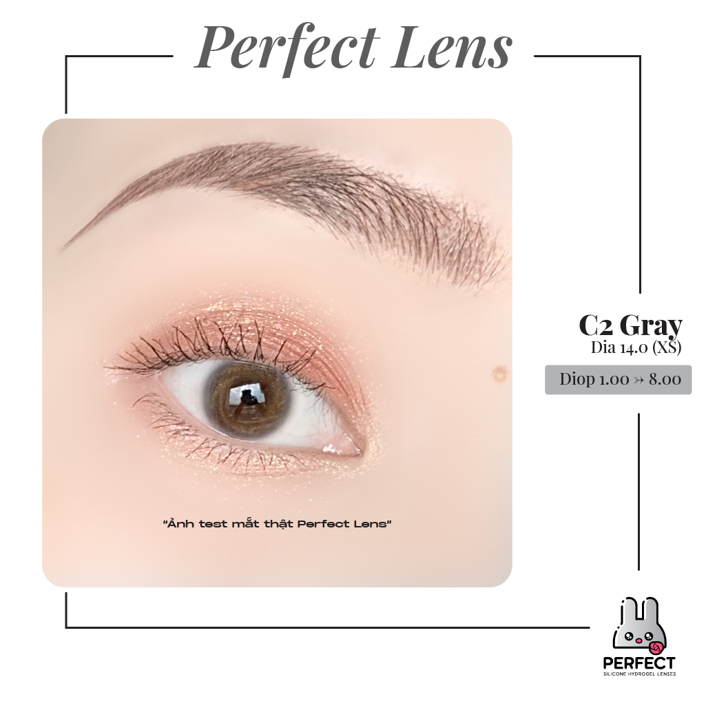 C2 Gray Lens (Giá 1 Chiếc)