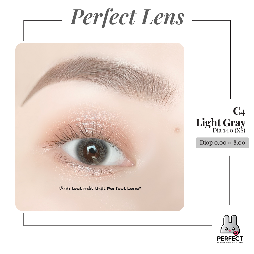 C4 Light Gray Lens (Giá 1 Chiếc)