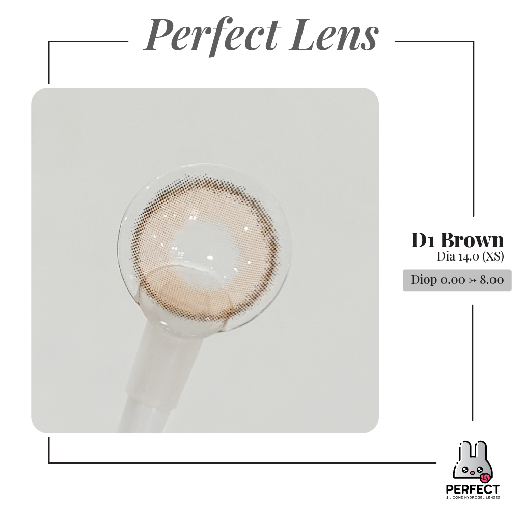 D1 Brown Lens (Giá 1 Chiếc)