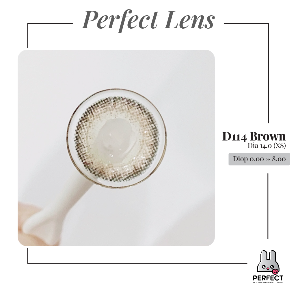 D114 Brown Lens (Giá 1 Chiếc)