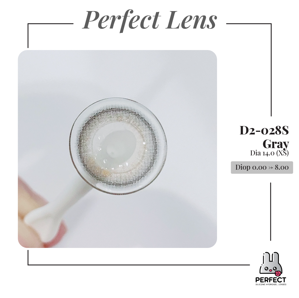 D2-028S Gray Lens (Giá 1 Chiếc)