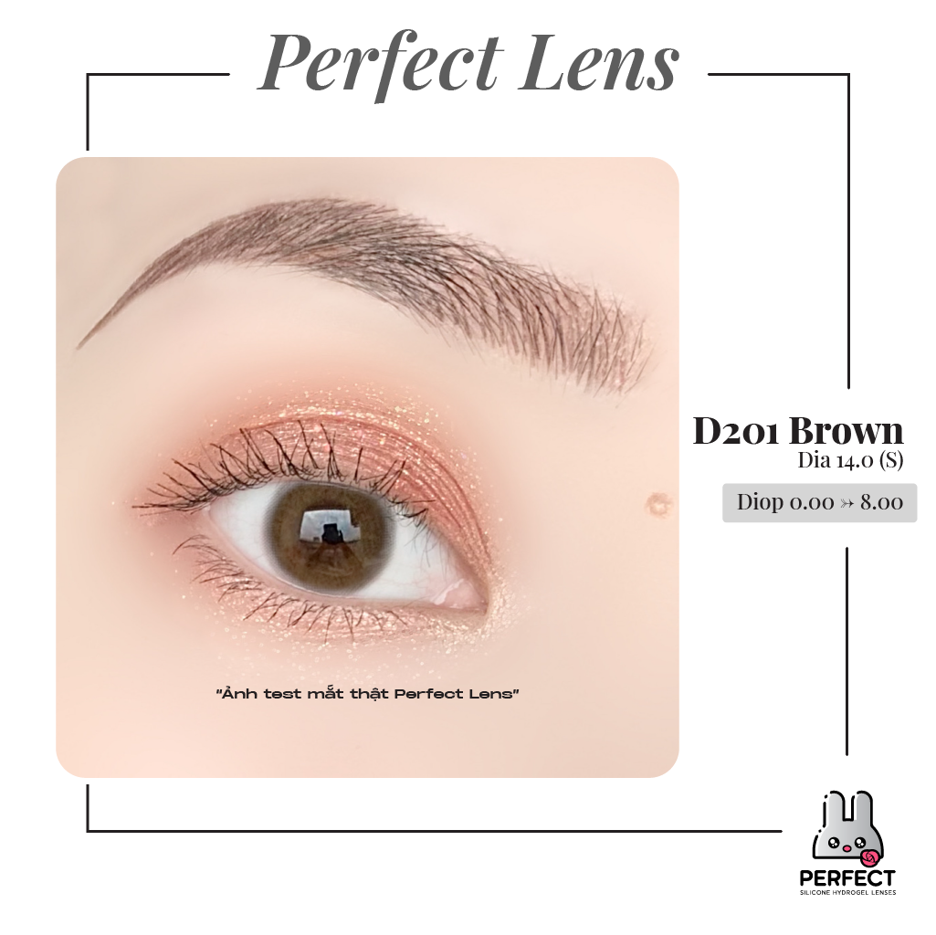 D201 Brown Lens (Giá 1 Chiếc)