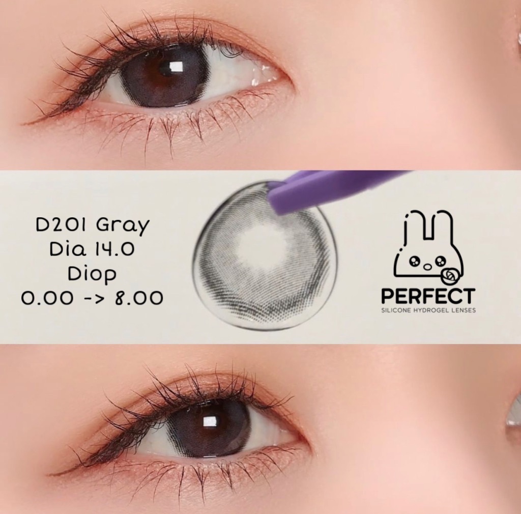 D201 Gray Lens (Giá 1 Chiếc)
