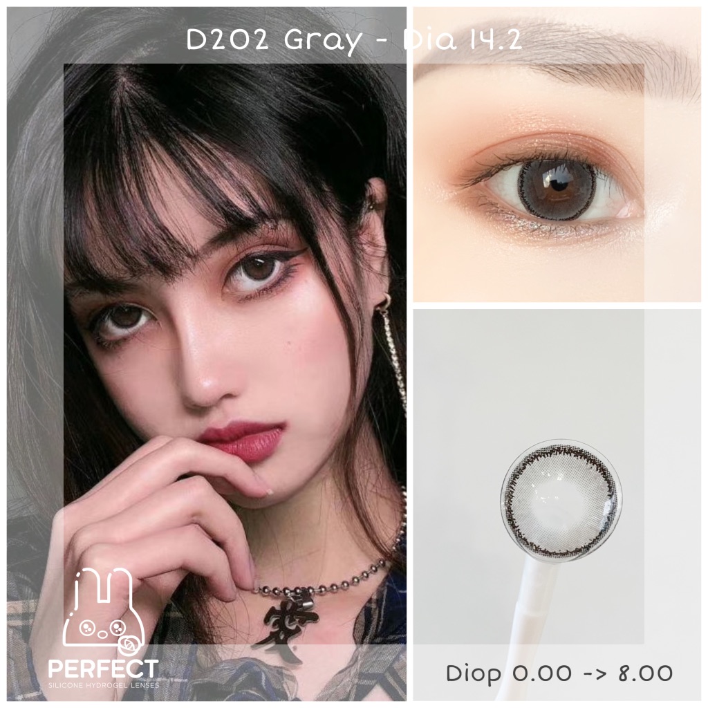 D202 Gray (Giá 1 Chiếc)