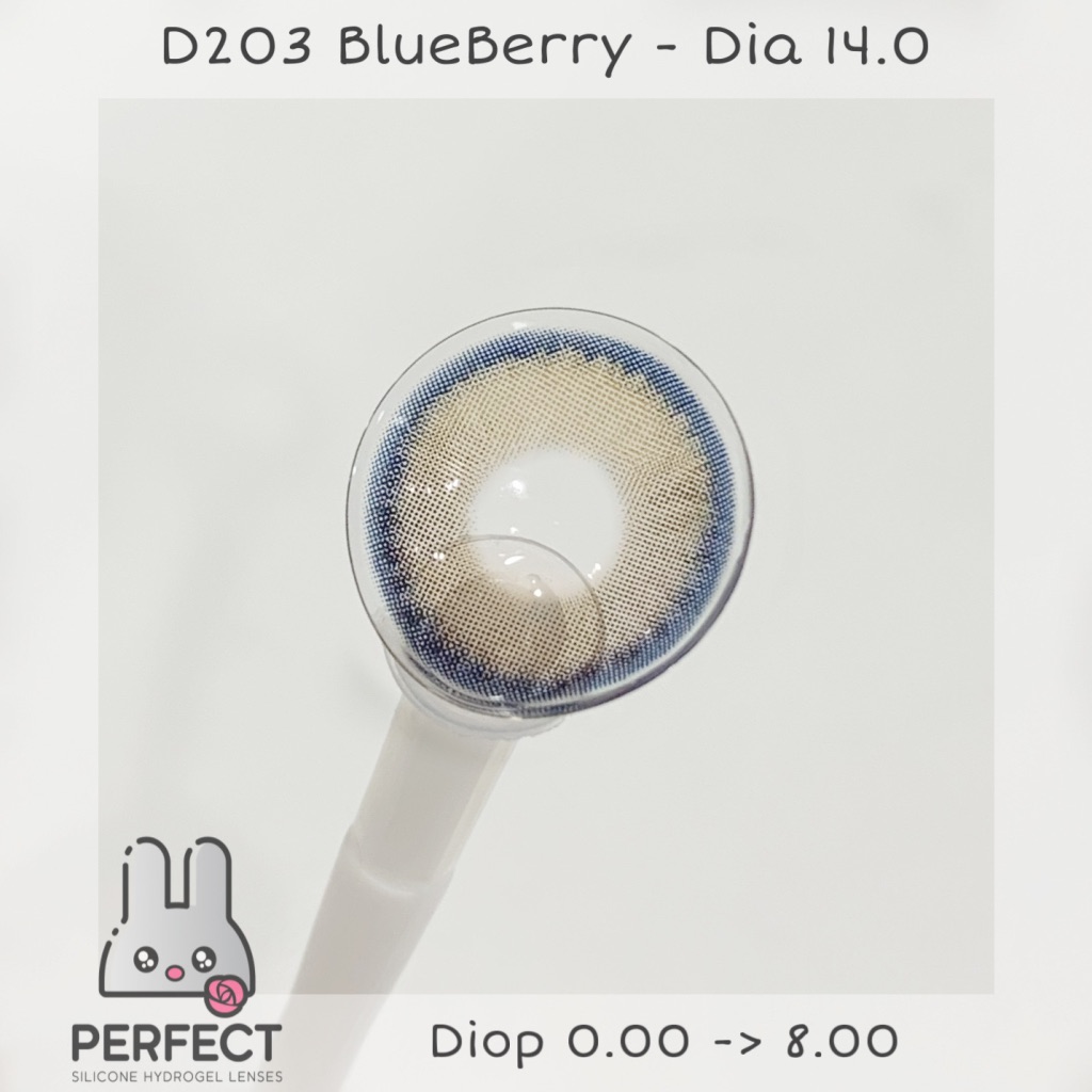 D203 Blue Berry (Giá 1 Chiếc)