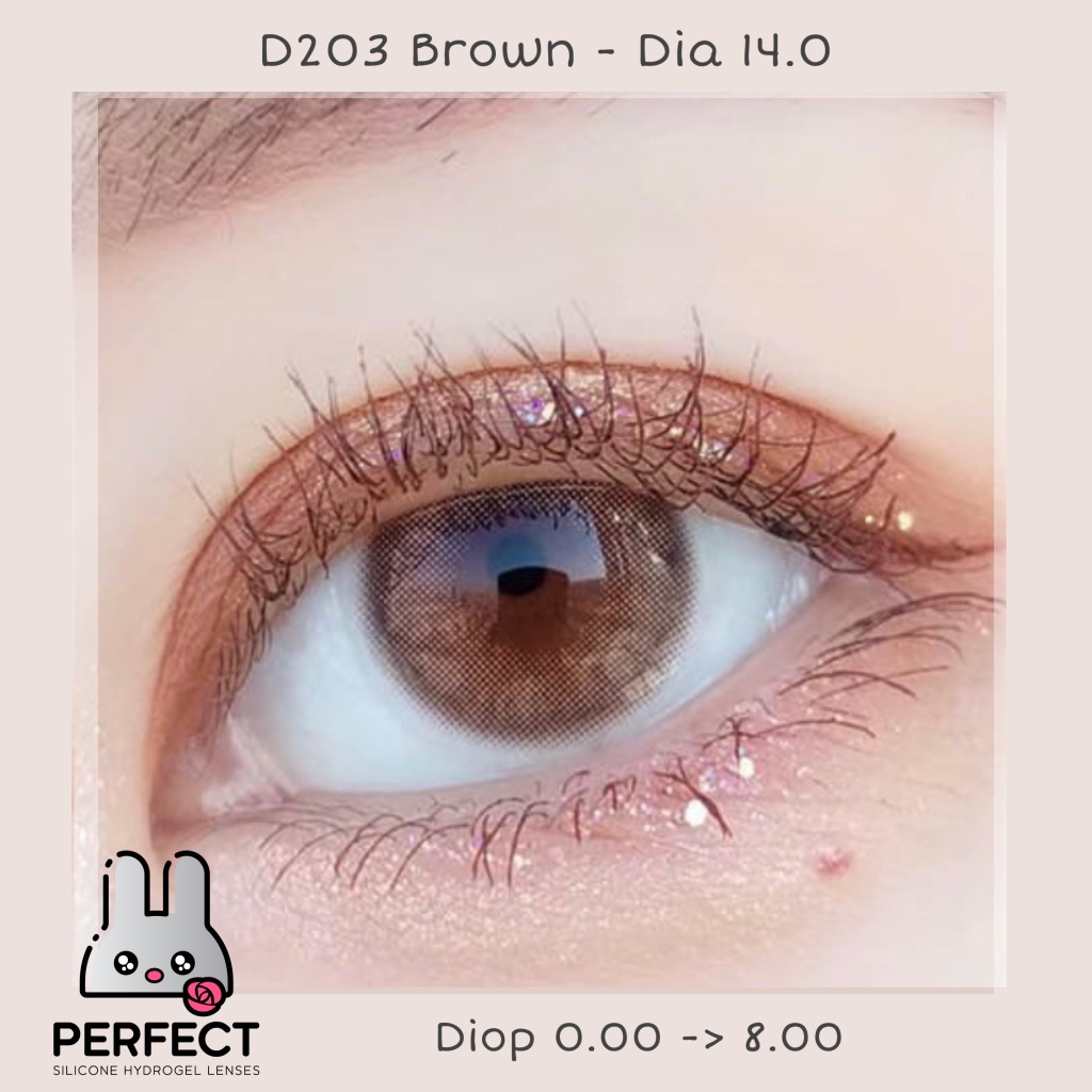 D203 Brown Lens (Giá 1 Chiếc)