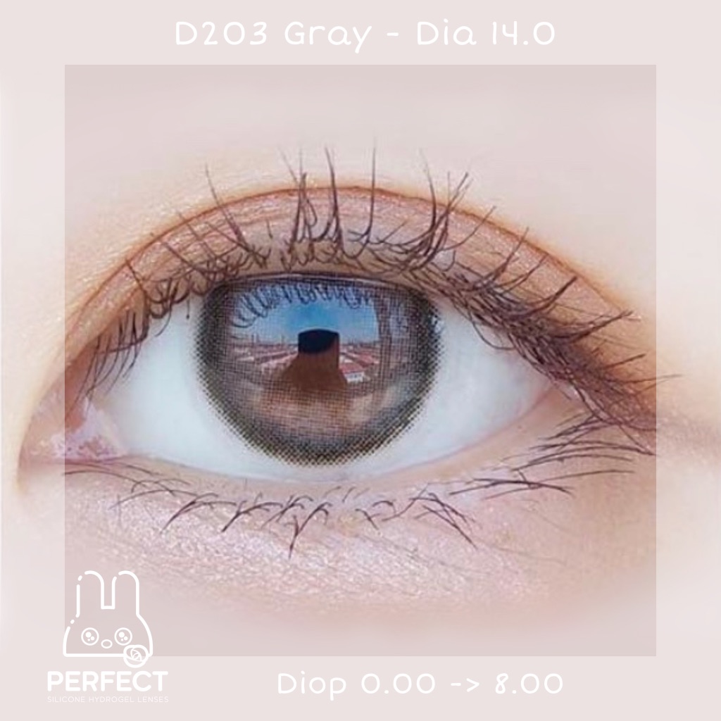 D203 Gray Lens (Giá 1 Chiếc)