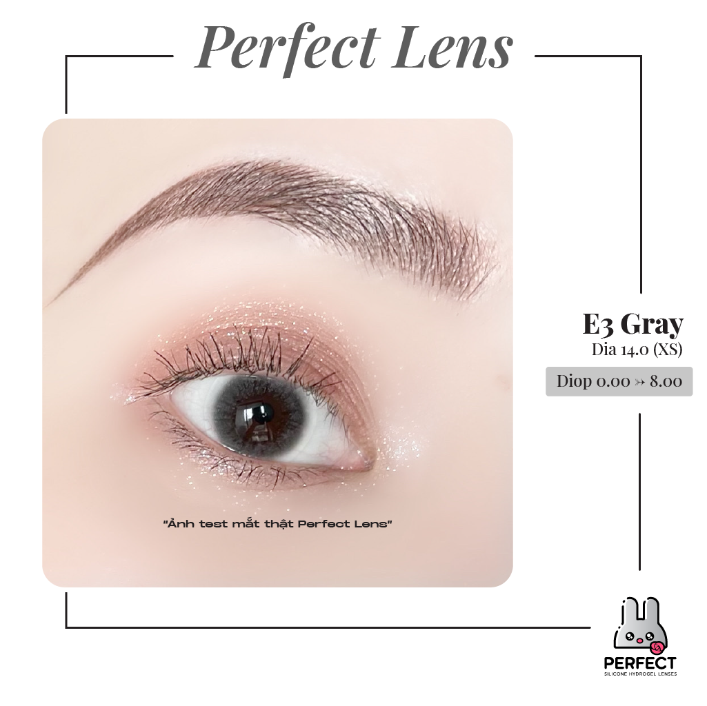 E3 Gray Lens (Giá 1 Chiếc)
