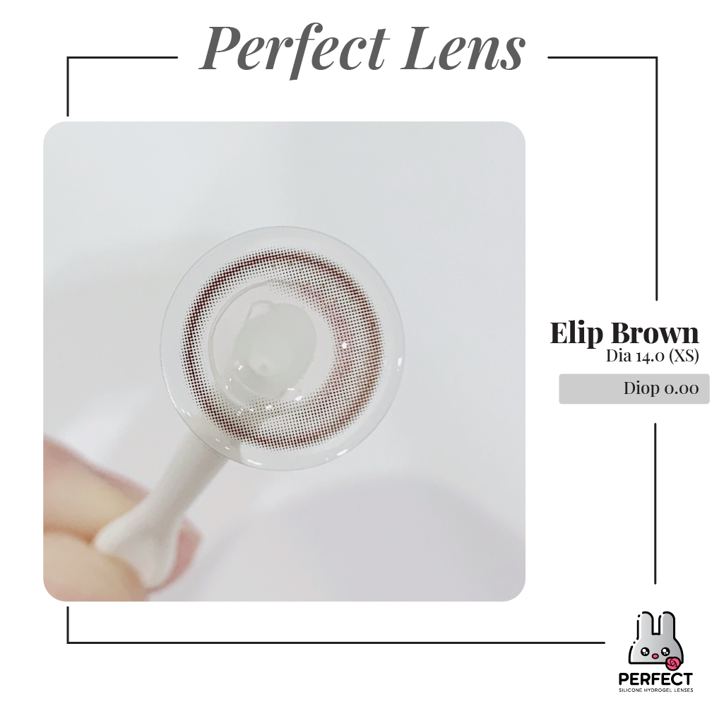 Elip Brown Lens (Giá 1 Chiếc)