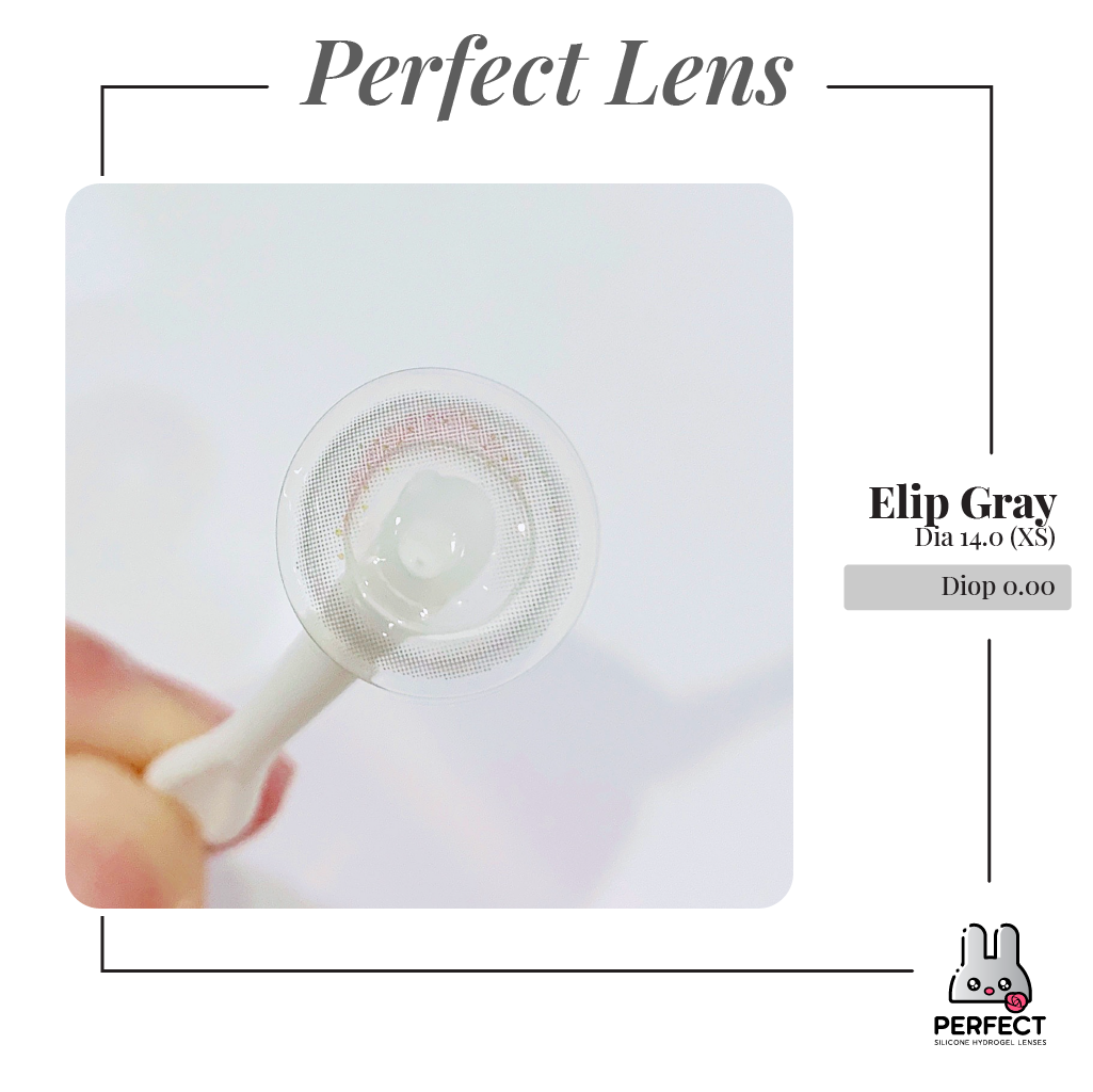 Elip Gray Lens (Giá 1 Chiếc)