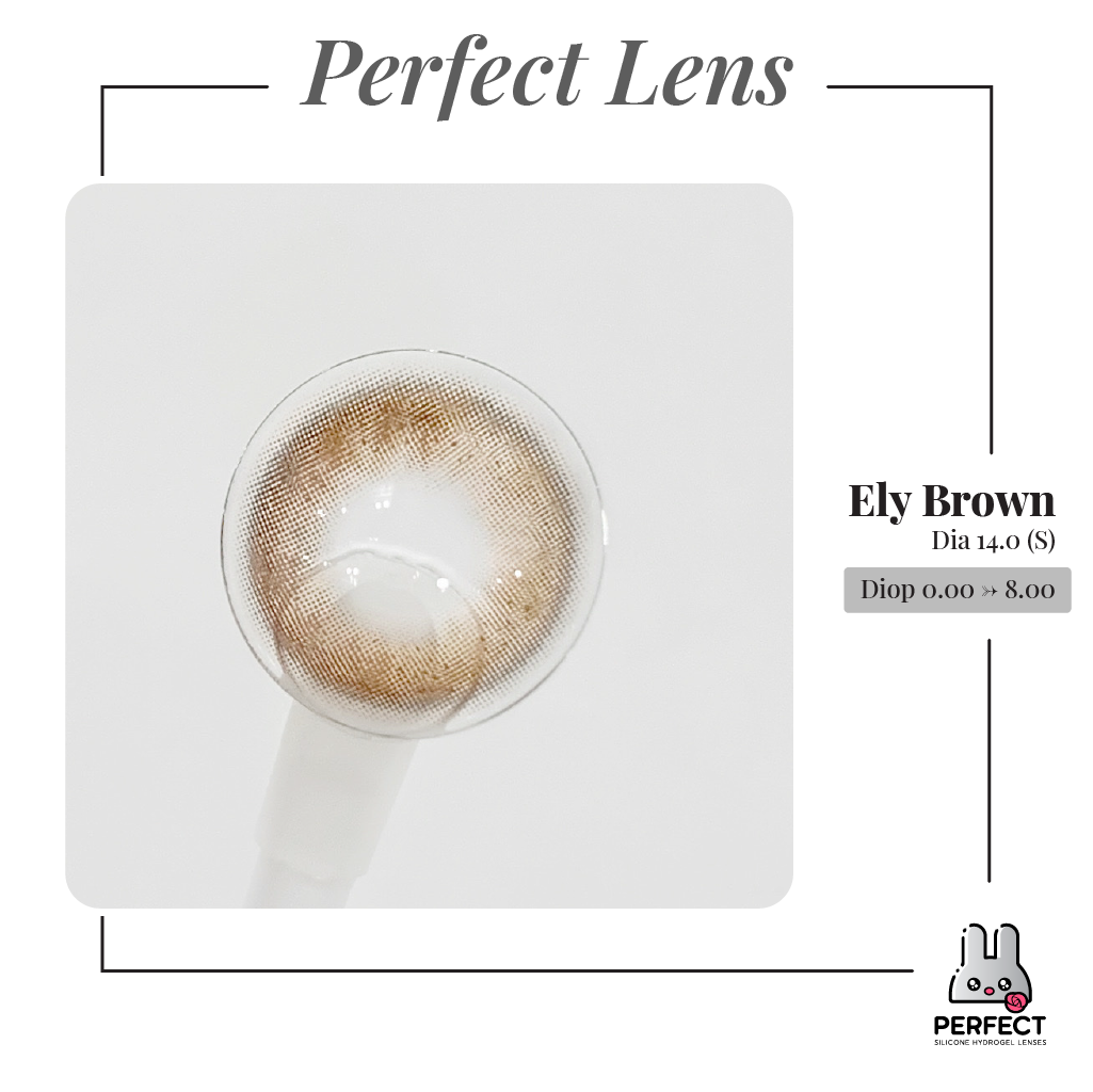 Ely Brown Lens (Giá 1 Chiếc)