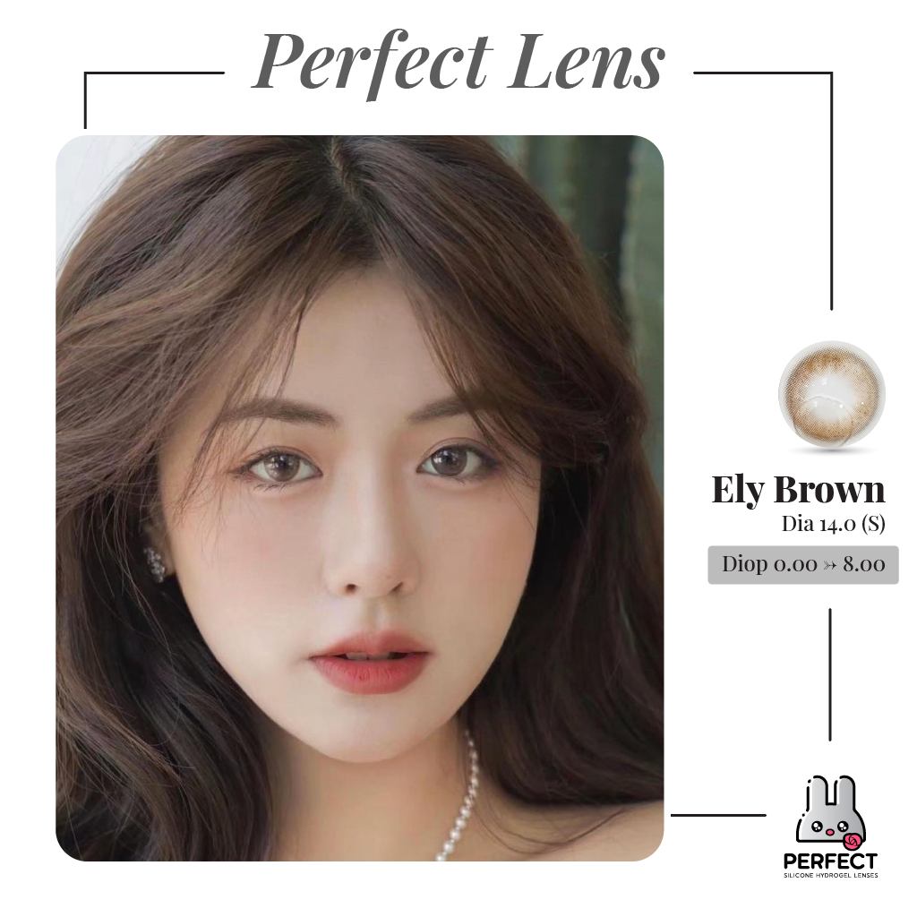 Ely Brown Lens (Giá 1 Chiếc)