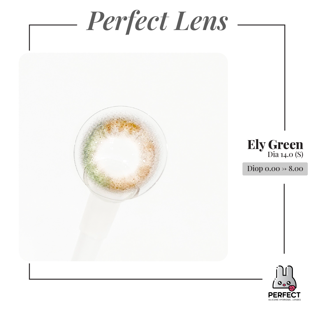 Ely Green Lens (Giá 1 Chiếc)