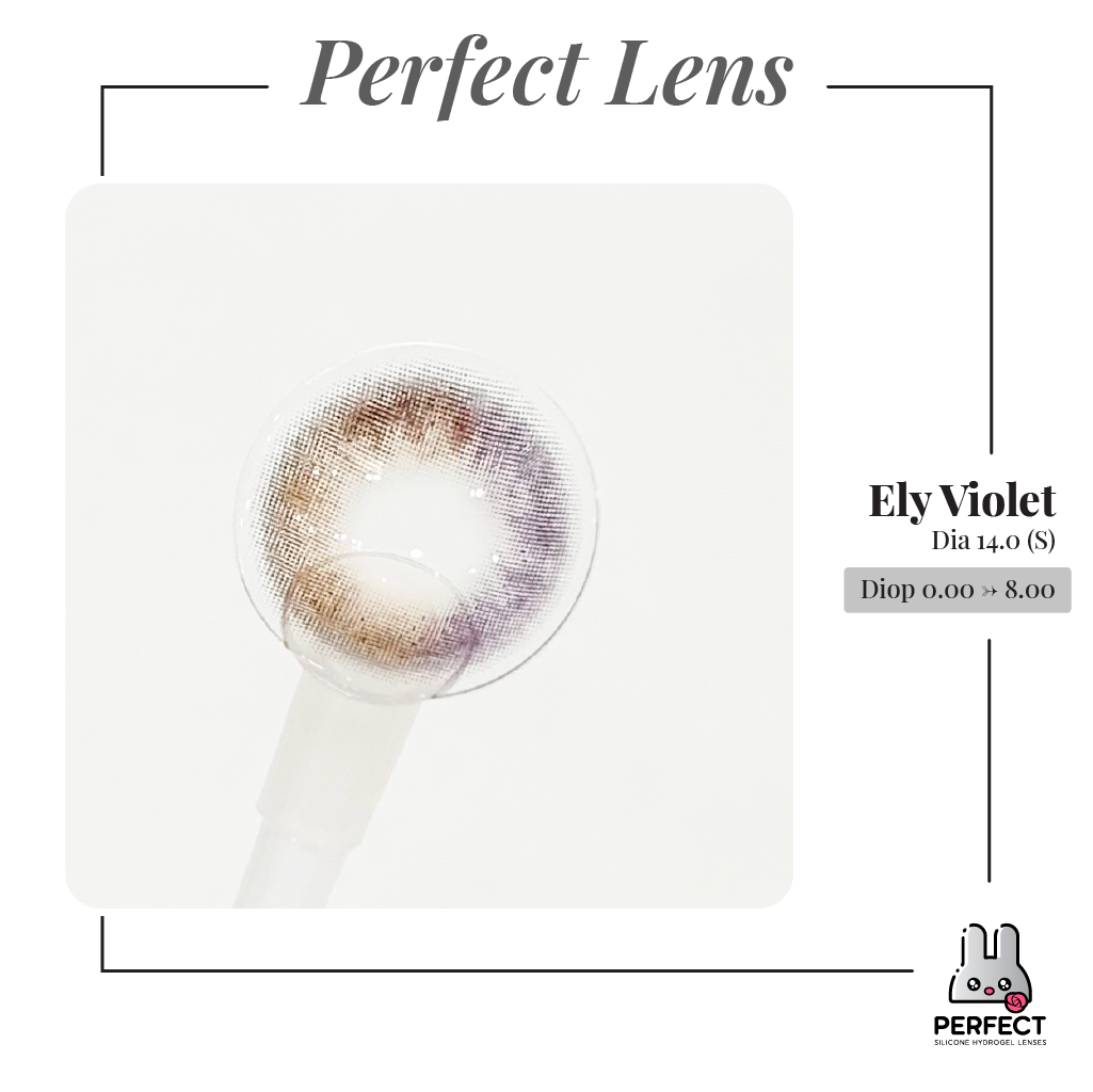 Ely Violet Lens (Giá 1 Chiếc)