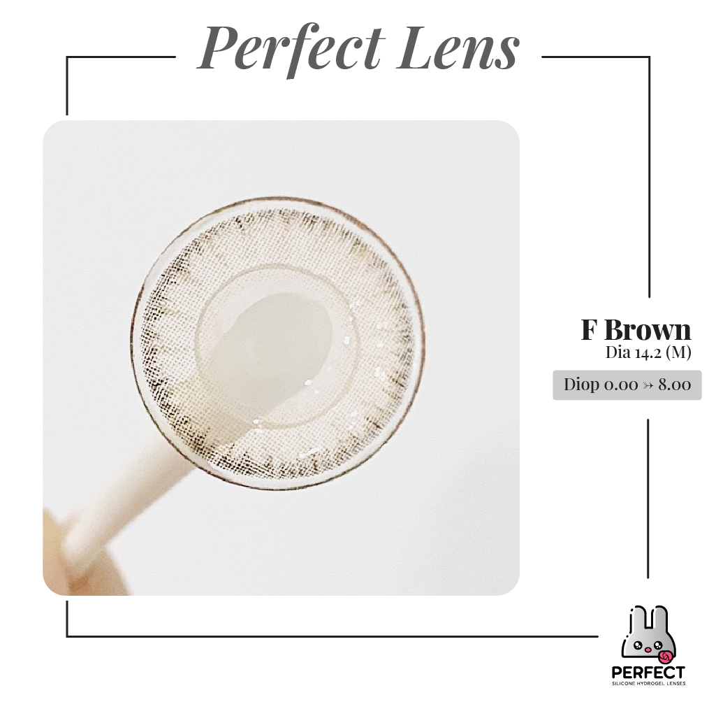 F Brown Lens (Giá 1 Chiếc)
