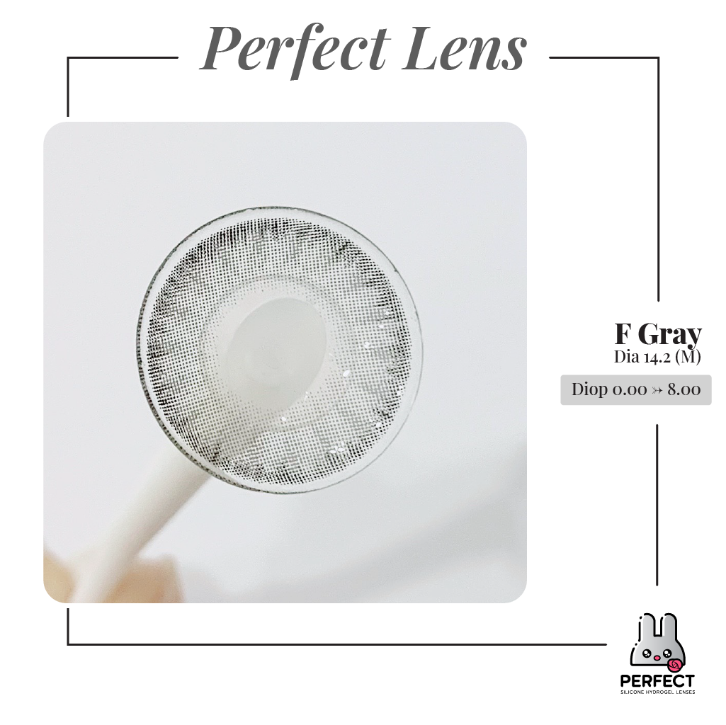 F Gray Lens (Giá 1 Chiếc)