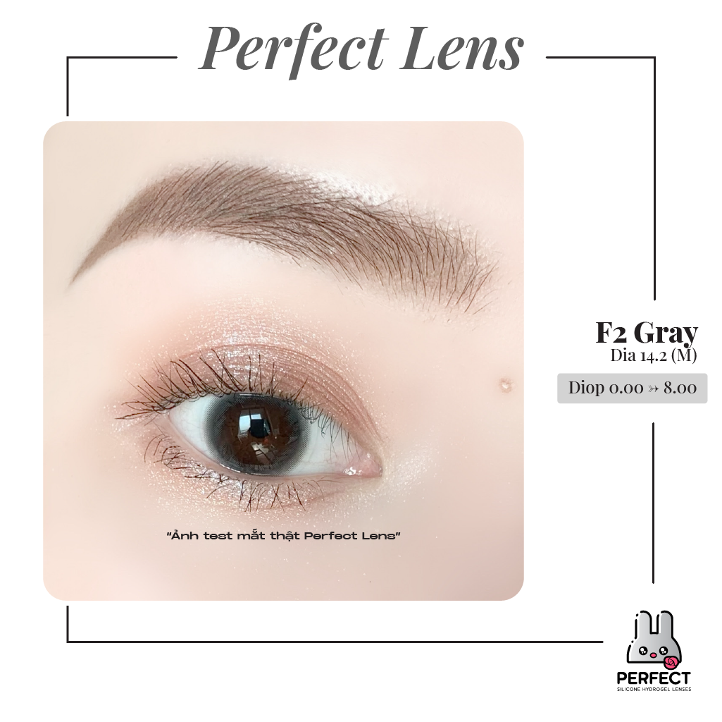 F2 Gray Lens (Giá 1 Chiếc)