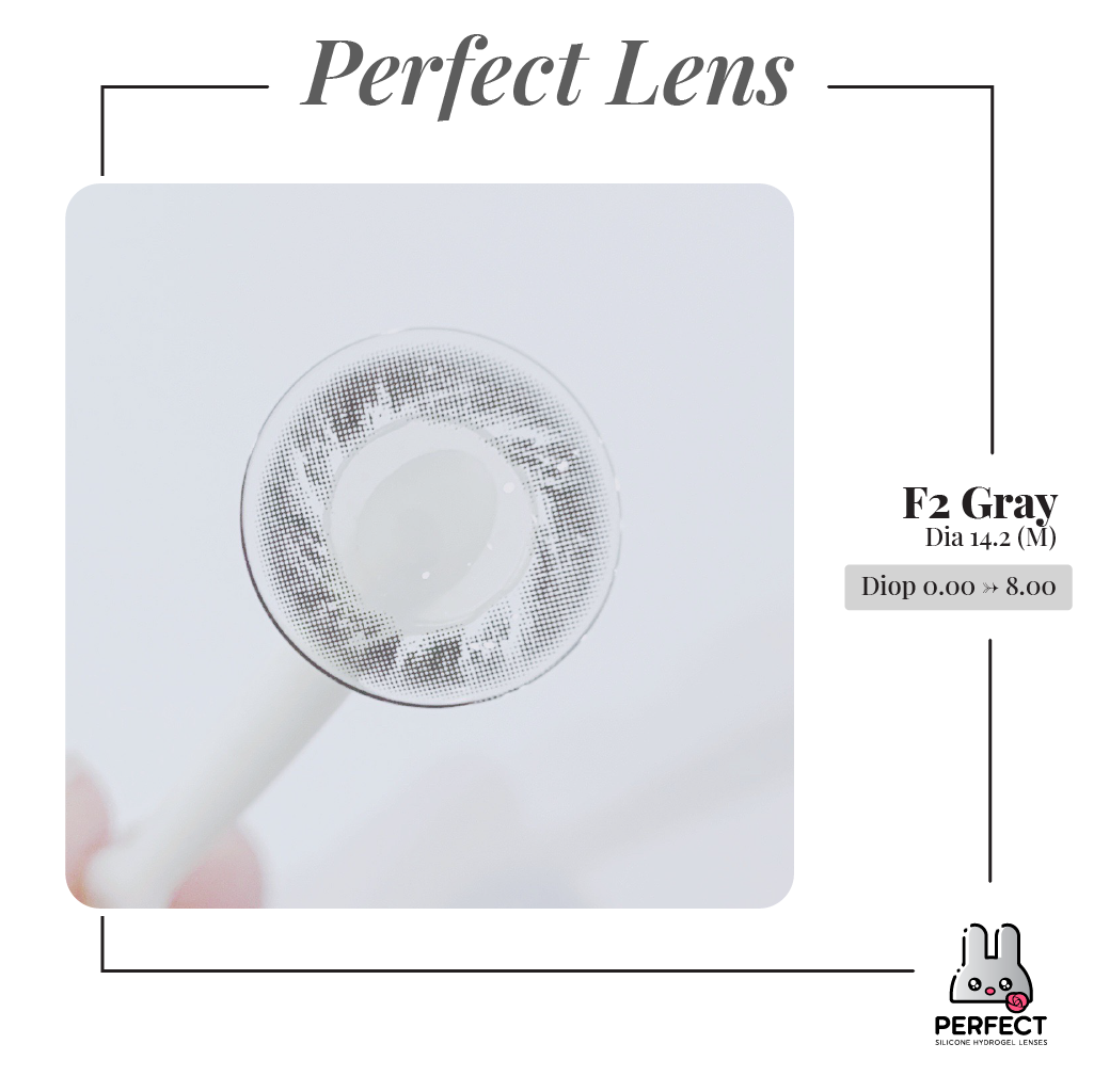 F2 Gray Lens (Giá 1 Chiếc)