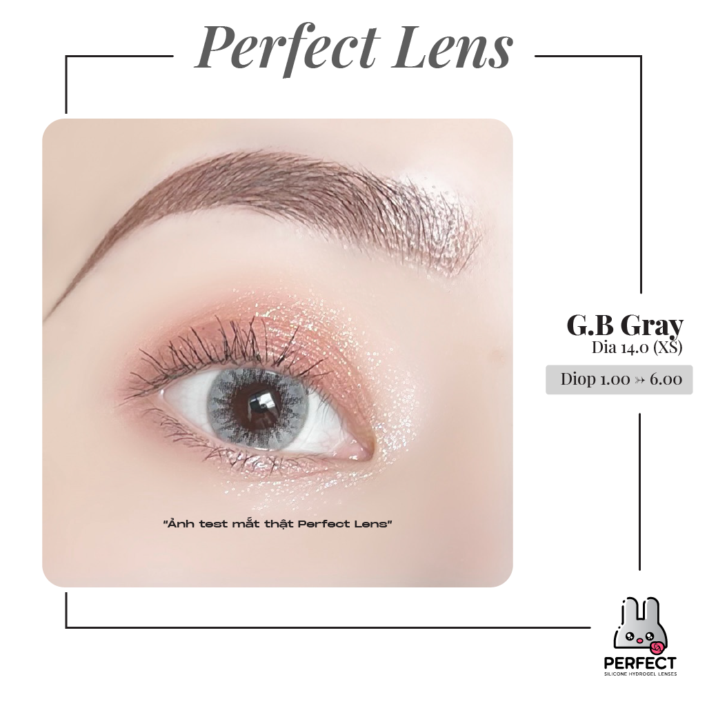 G.B Gray Lens (Giá 1 Chiếc)
