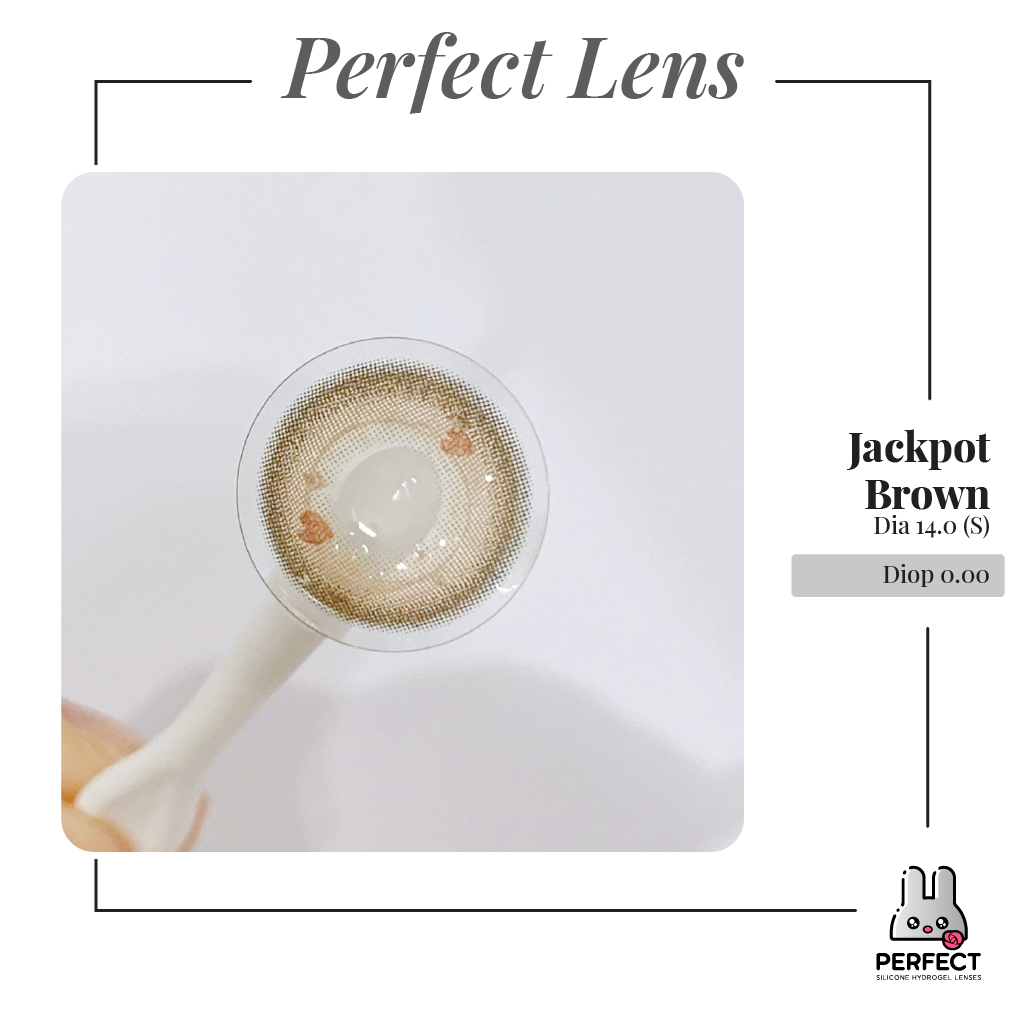 Jackpot Brown Lens (Giá 1 Chiếc)
