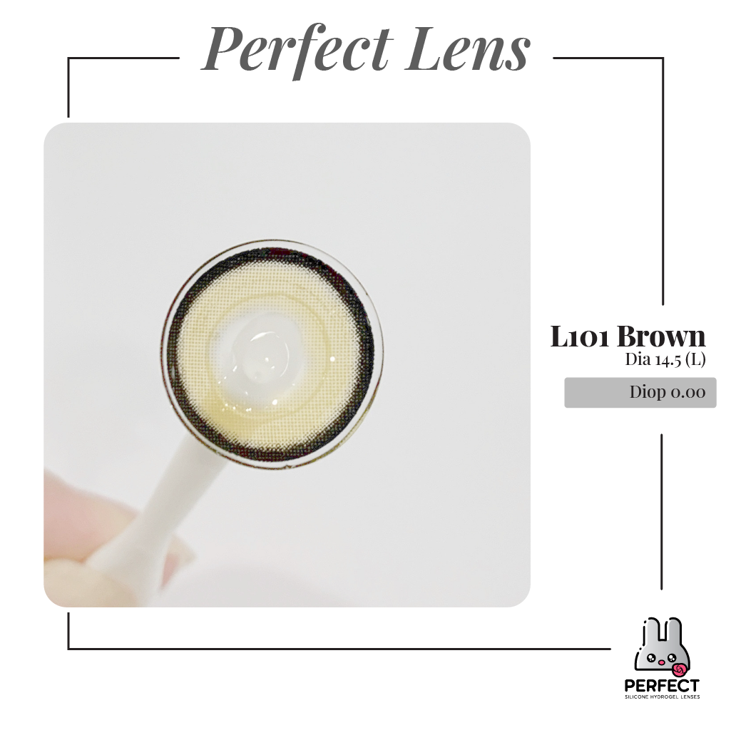 L101 Brown Lens (Giá 1 Chiếc)