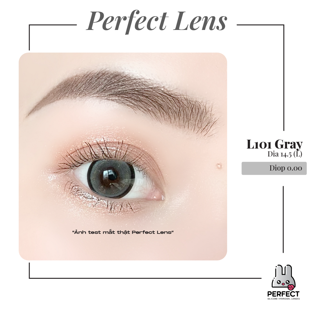 L101 Gray Lens (Giá 1 Chiếc)