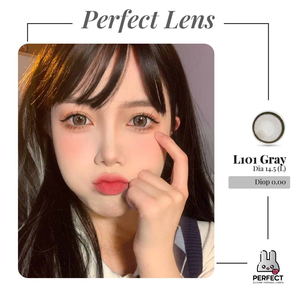 L101 Gray Lens (Giá 1 Chiếc)