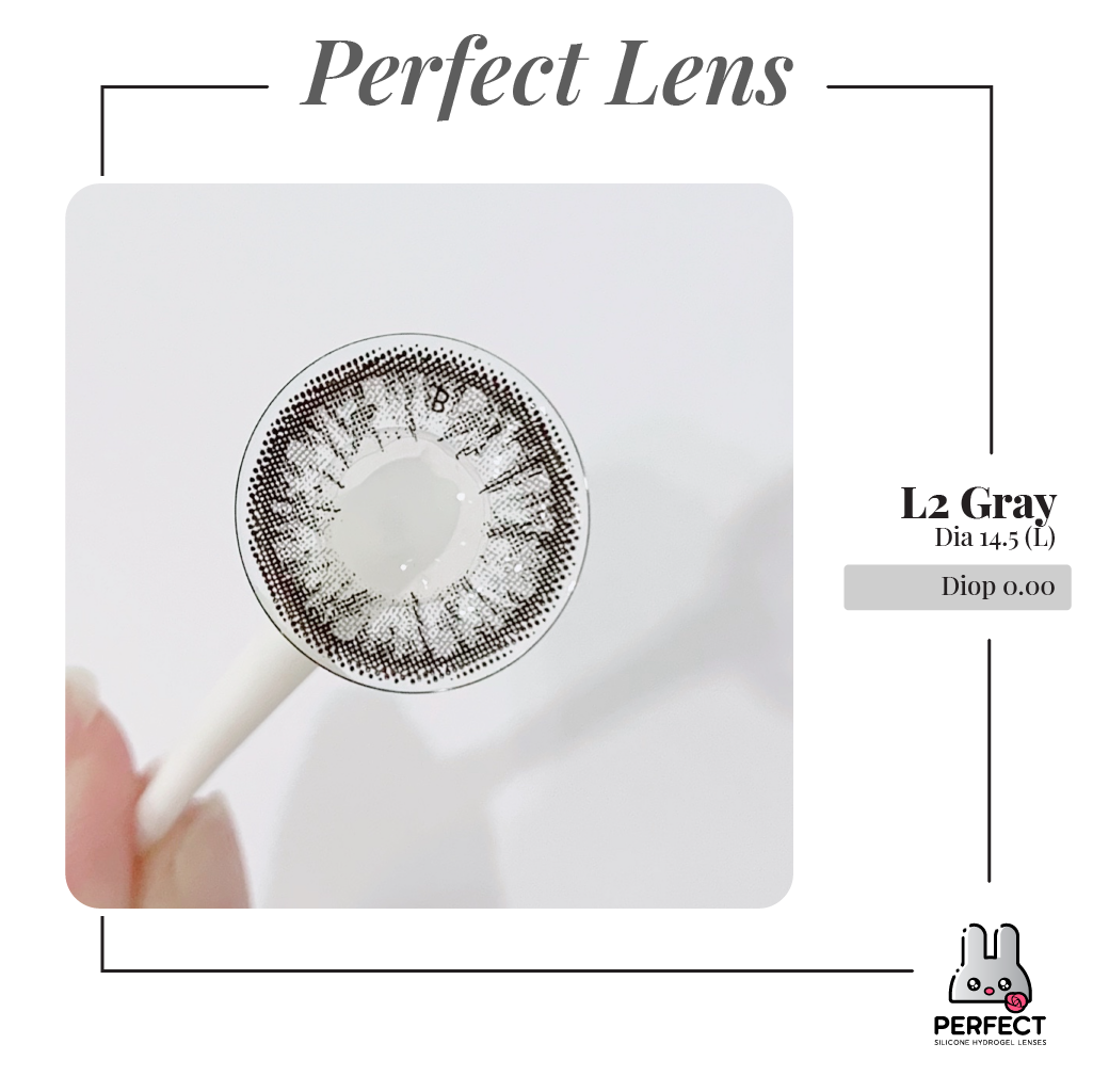 L2 Gray Lens (Giá 1 Chiếc)