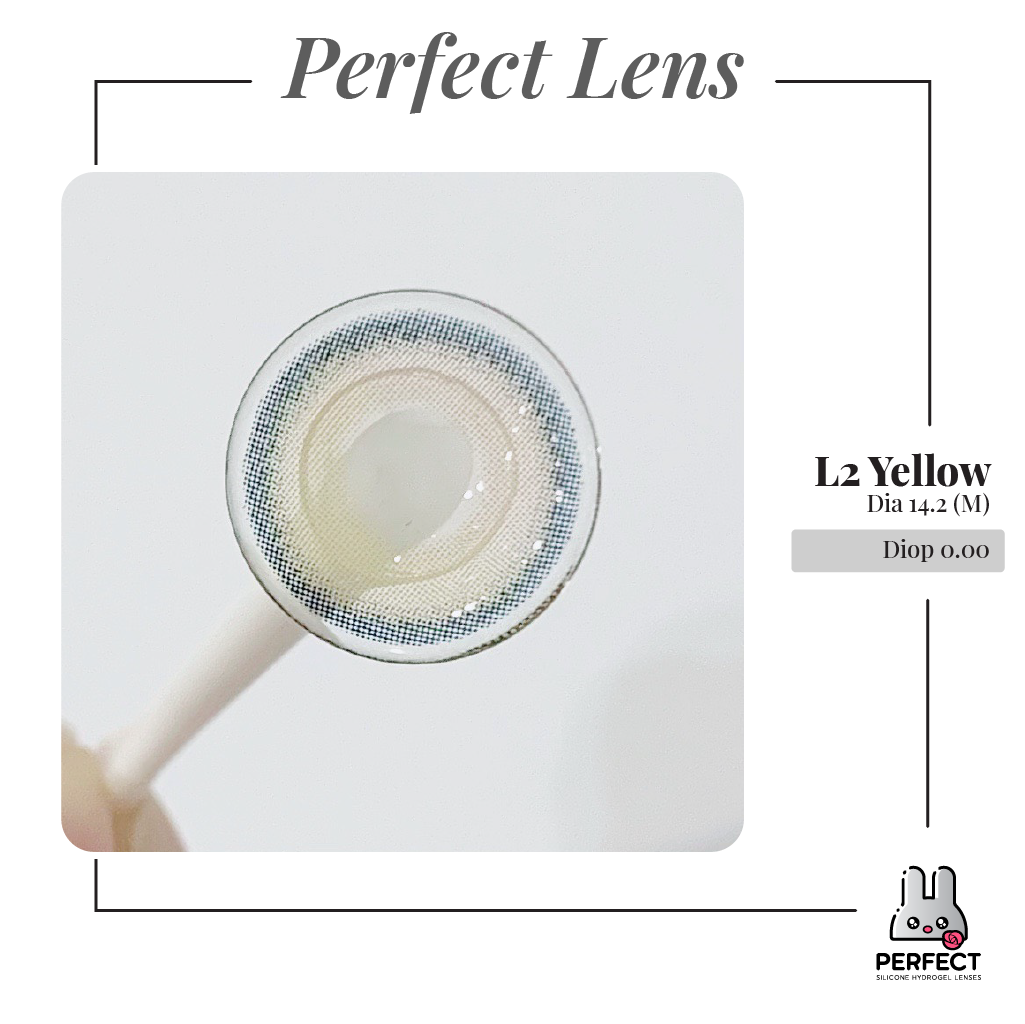 L2 Yellow Lens (Giá 1 Chiếc)