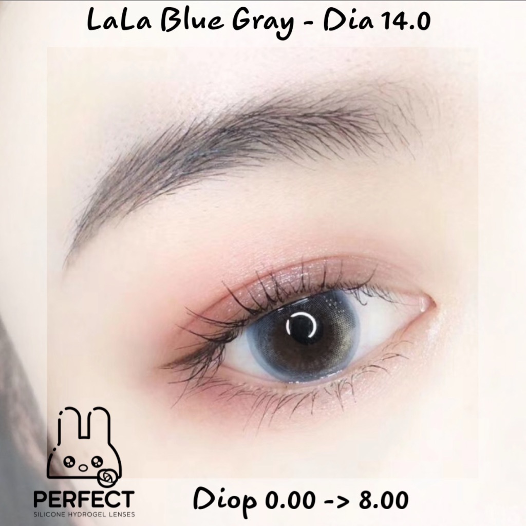 Lala Blue Gray Lens (Giá 1 Chiếc)