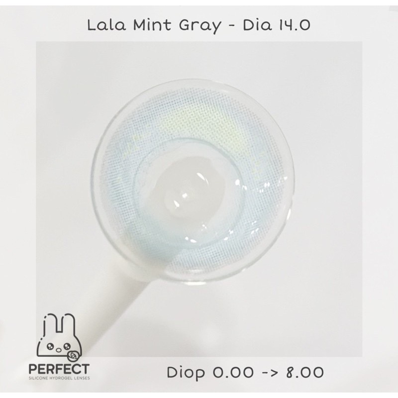 Lala Mint Gray Lens (Giá 1 Chiếc)
