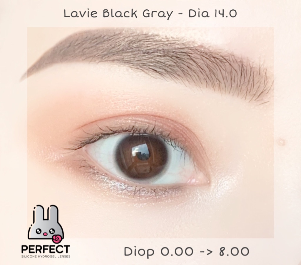 Lavie Black Gray Lens (Giá 1 Chiếc)