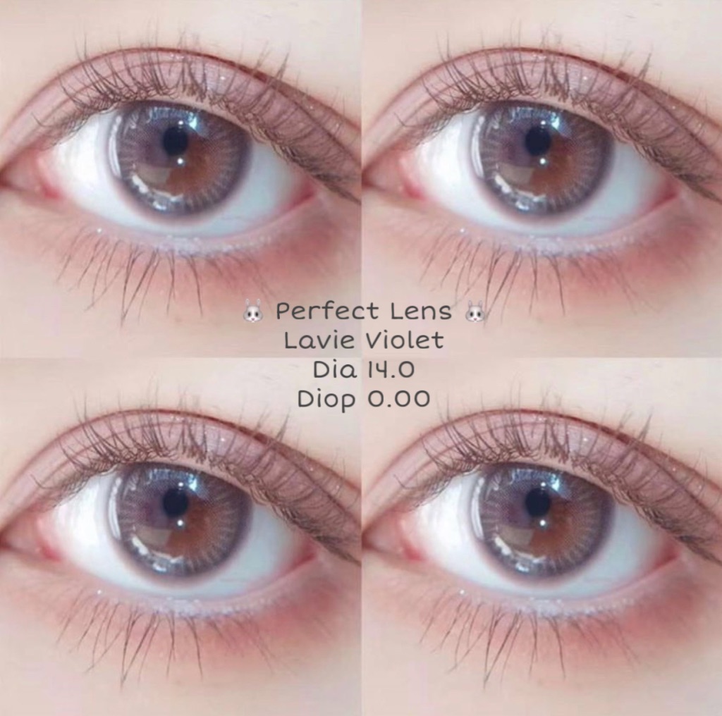 Lavie Violet Lens (Giá 1 Chiếc)