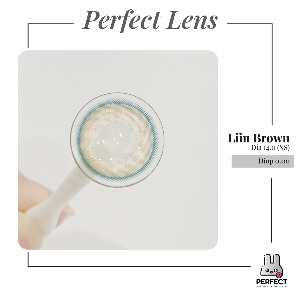 Liin Brown Lens (Giá 1 Chiếc)