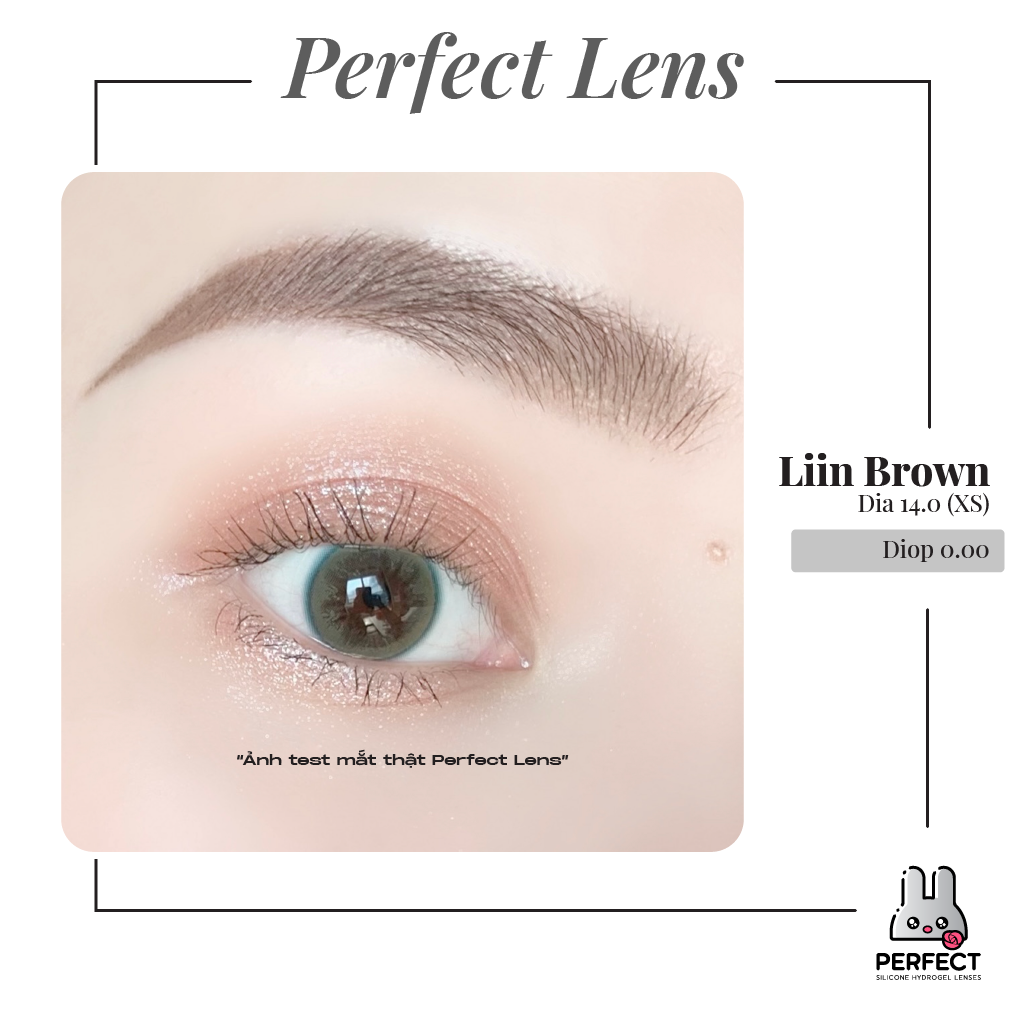 Liin Brown Lens (Giá 1 Chiếc)